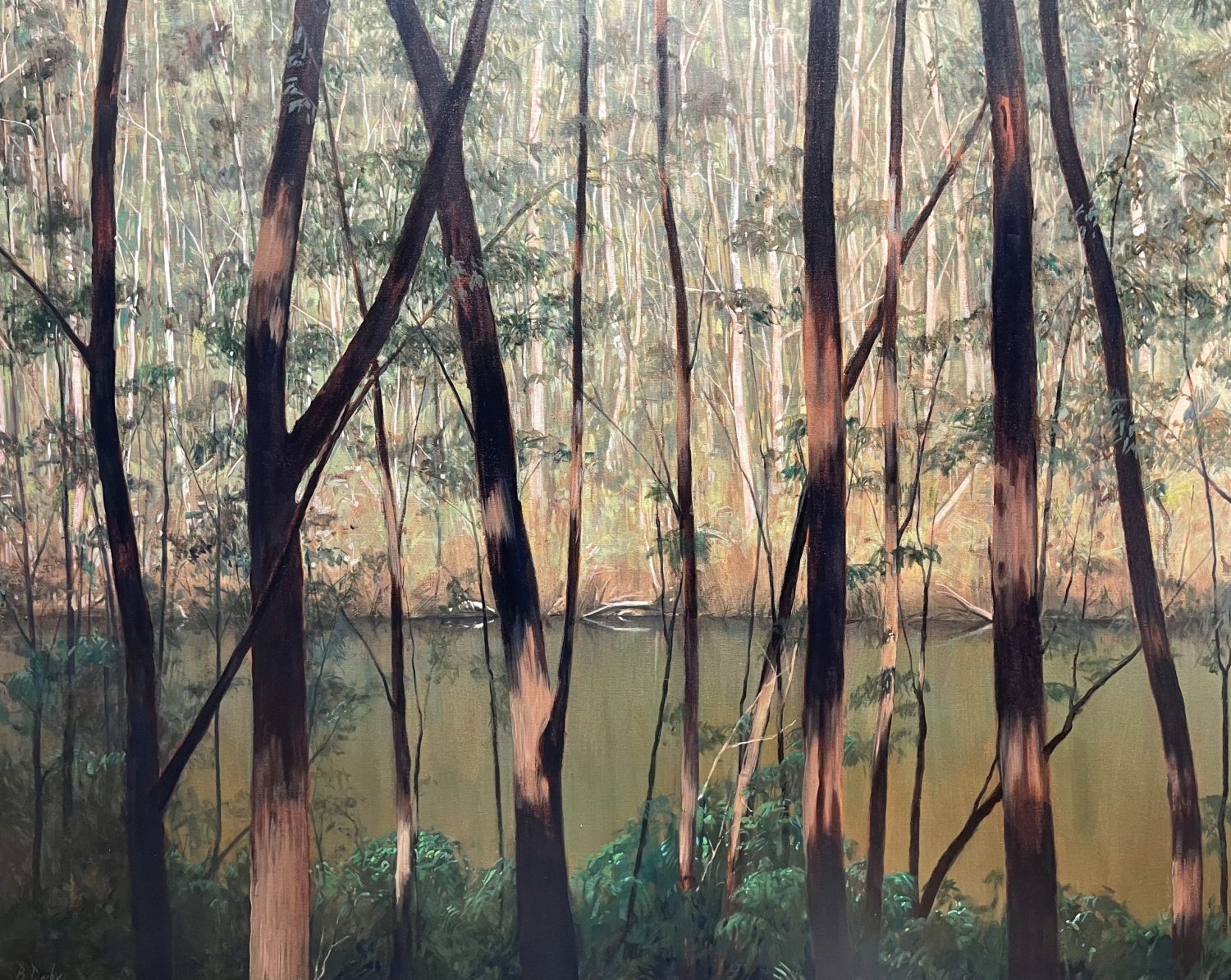 "Blackwood Tawny Frogmouth" Oil on Acrylic on Canvas 120 x 150cm