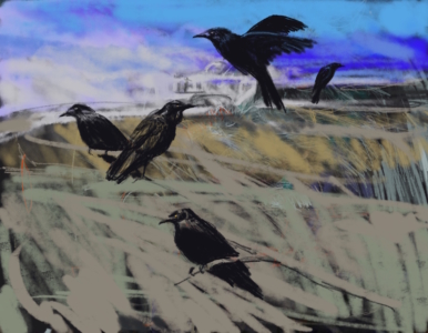 05.02.18 - Ravens on Adani
