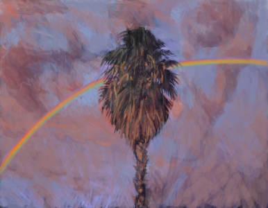 16.02.18 - Summer rainbow palm
