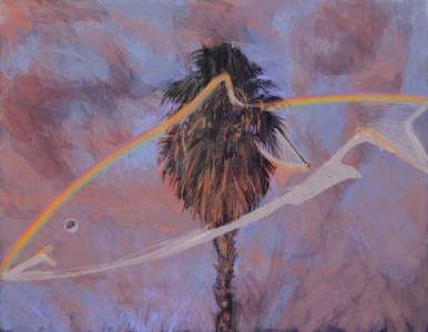 17.02.18 - Rainbow trout