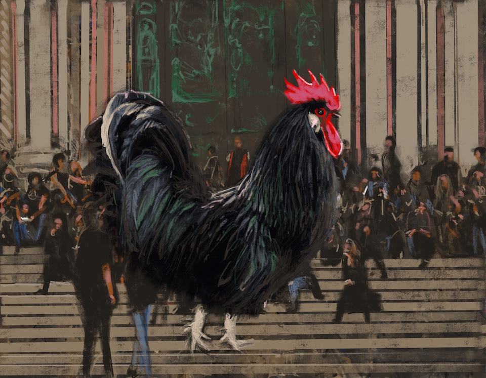 19.04.18 - Black cock, Tuscany with Duomo di Siena