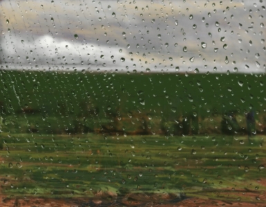 11.08.18 - South Australian rain