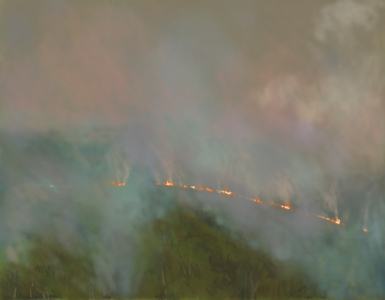 17.08.18 - NSW bush fires