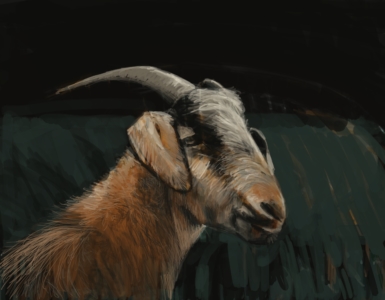 14.10.18 - Rick's goat, "Turbo"